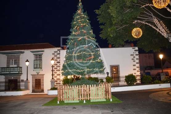  Telde decora su plaza más antigua con un árbol de Navidad (Foto TA)
